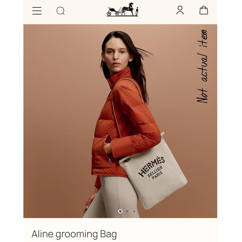 Authentic HERMÈS Large Grooming  Satchel Herringbone Canvas Weekender‎ Bag - Picture 13 of 13